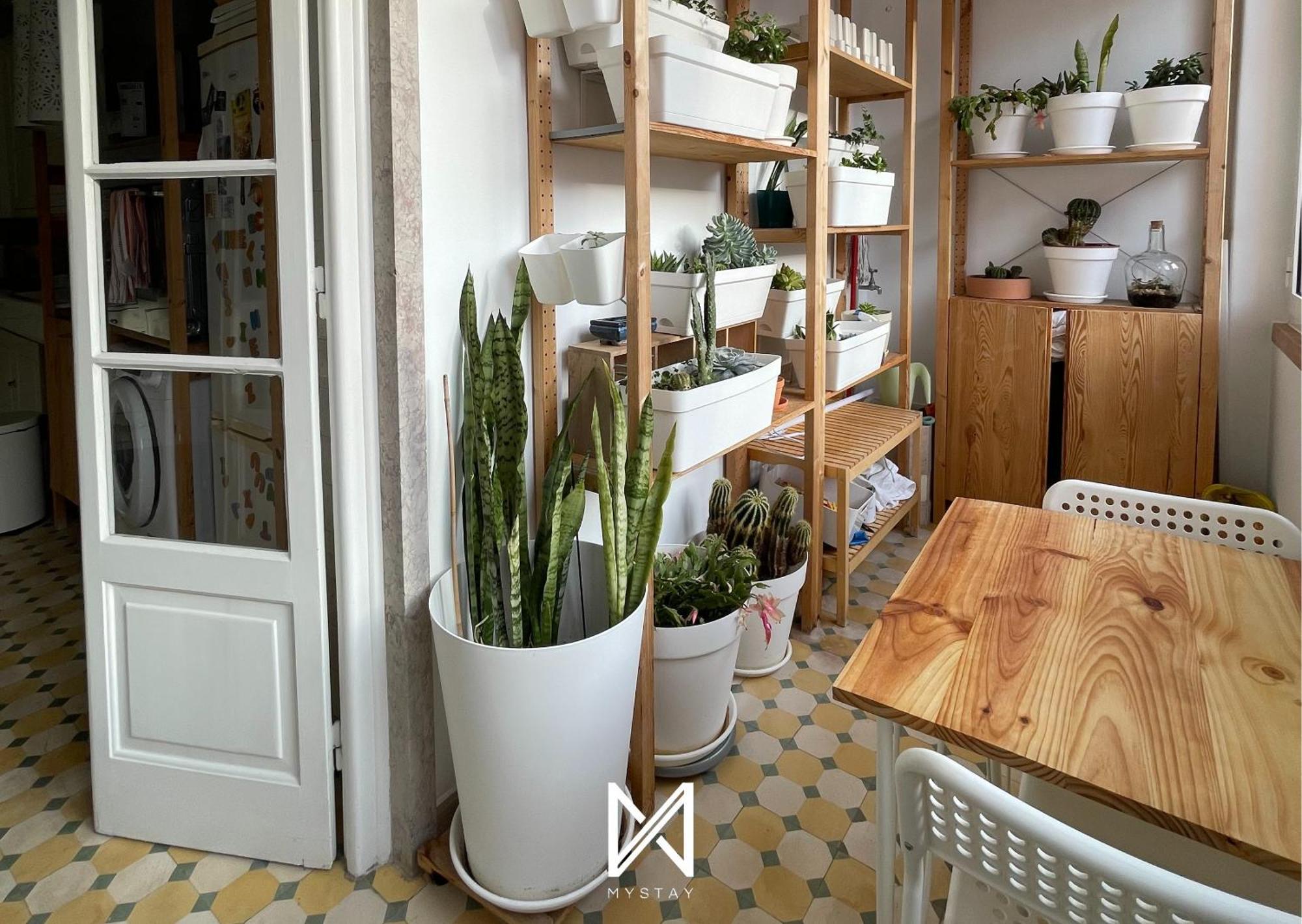 That Place For U - Suite Vintage Lisboa Εξωτερικό φωτογραφία